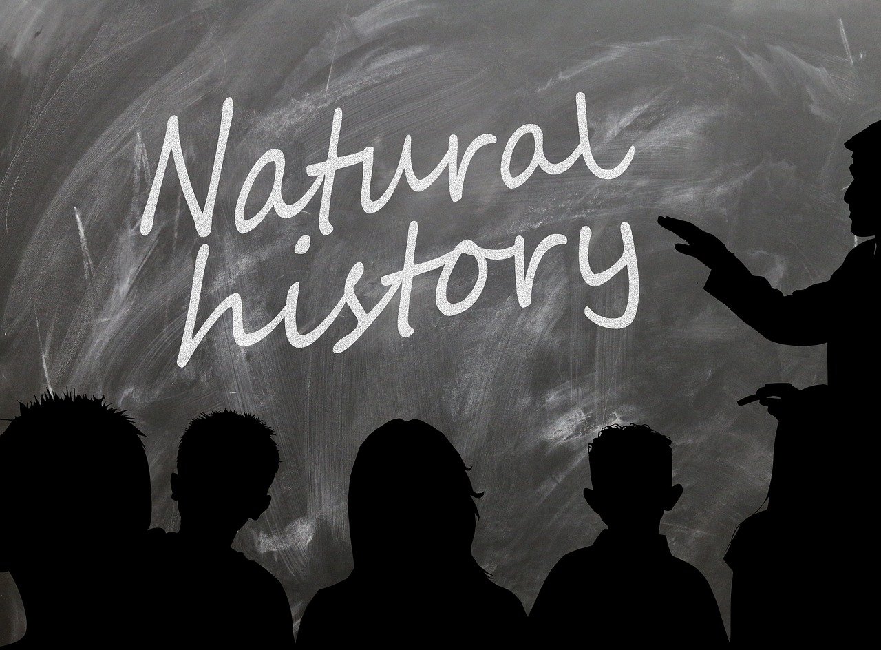 历史老师沉醉于黑神话,手抖的背后故事 历史老师沉醉于黑神话,手抖的背后故事