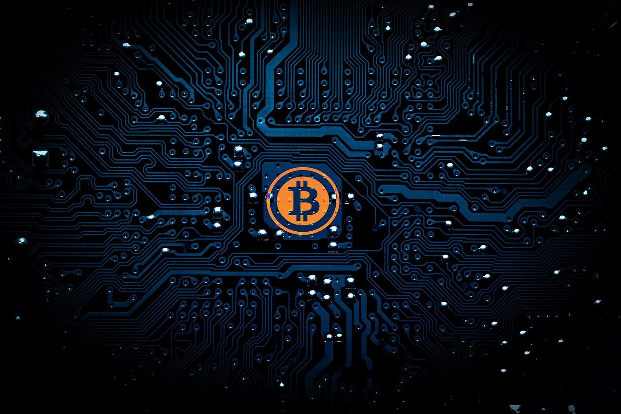 财经知识选手的工资揭秘，数字背后的秘密与生活智慧